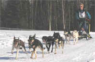 Ivana Nolke 2004 LNAC