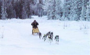 Clark Bradford Memorial Race