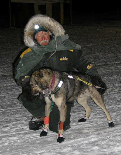 king.jpg (27993 bytes)