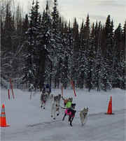 Janet Smith Hamburger Quest