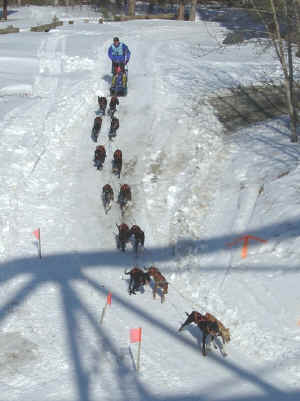 Egil Ellis 2005 Tok Race of Champions