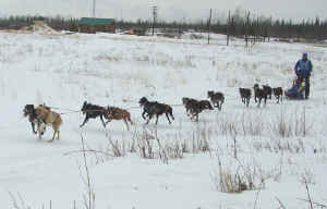 Egil Ellis, Day 2 2005 Tok Race of Champions