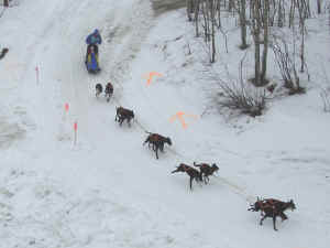 Helen Lundberg Tok Race of Champions