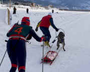 Yvette Hoel, (Norway)