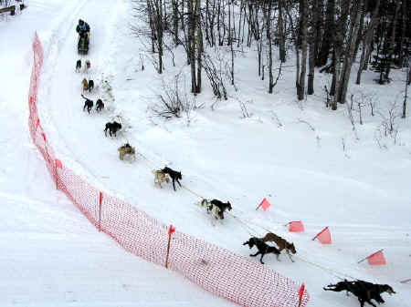 Buddy Streeper photo by Brenda Burge