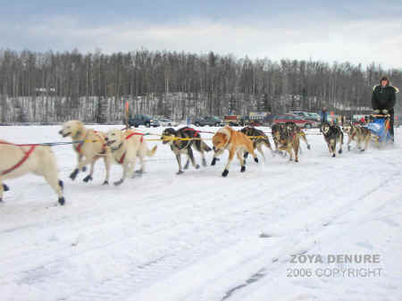 knik200.jpg (222720 bytes)