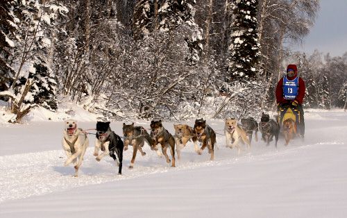 Curtis Erhart photo by Zdenek Kohl