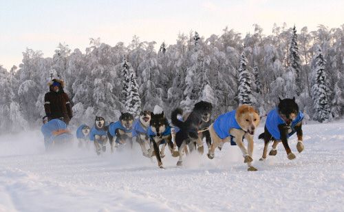 Maria Mulvangh photo by Zdenek Kohl