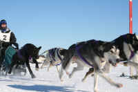 Val Gagne Jan Kiesling