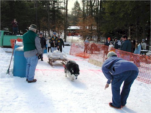 Jim Lobdell Memorial Weight Pull