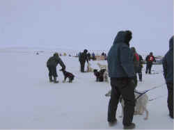 Joe Hickes with John Hickes' leaders, Towtongie & Oolooyuk teams behind