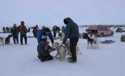 Jack Tootoo & Joe Hickes helping John Hickes before mass start
