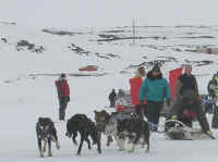 Harry Towtongie Start Day 3