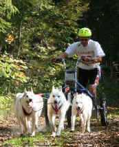Pierangelo Patriarca Kart