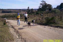 Rivas-Meilan.jpg (98075 bytes)