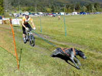 Schumet Edvard Bikejoring