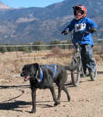 buena_vista_mikeylady