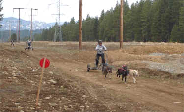 Roslyn Spring Fling Cart Race