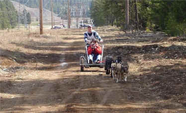 Roslyn Spring Fling Cart Race