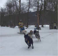 Sled Class