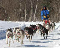 Dave Partee photo: Stead Day 1