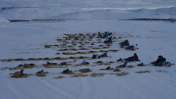 Teams resting at the Maclaren checkpoint