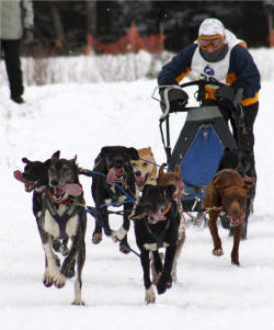 Alex Thomas - Open team - Blanchard, ME