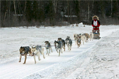 John Gomes Photo - Bob Chlupach