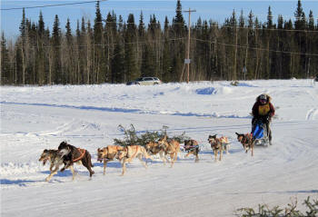 John A. Rusyniak Photo : Dori Hollingsworth