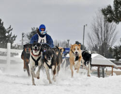 Ginny Hines Photo - Carolyn Johnson