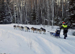 Jim Fierek Photo: White Oak Classic Frank Moe