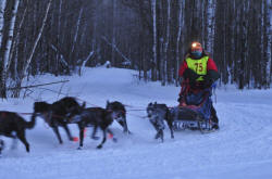 Jim Fierek Photo: White Oak Classic Jamie Nelson