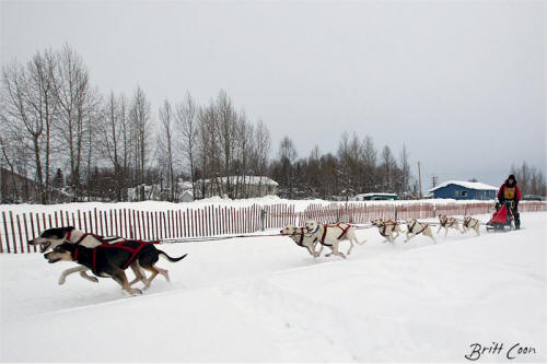 Britt Coon Photo : Ken Chezik 8 Dog