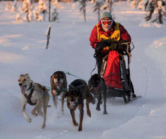 Ryan Brooks Photo: Amy Maclean