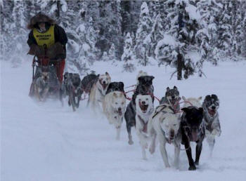 Ryan Brooks Photo: Bill Kornmuller