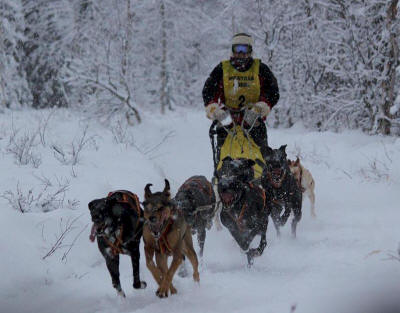 Ryan Brooks photo of Christian Taveau, winner of the 8 dog. 