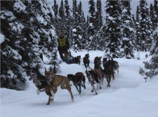 Ryan Brooks Photo: Egil Ellis