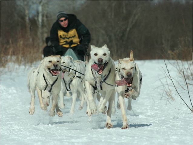 Photo by Francois LaTour