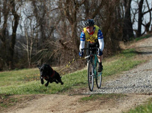 Matthew South Photo: Scott Farmer's Comet Flying