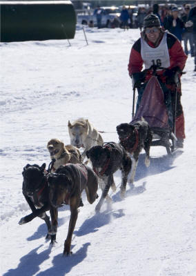 Philip Bannon Photo : Charlie Odegaard