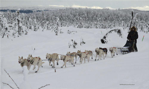 Donna Quante Photo : Jimmy Lanier